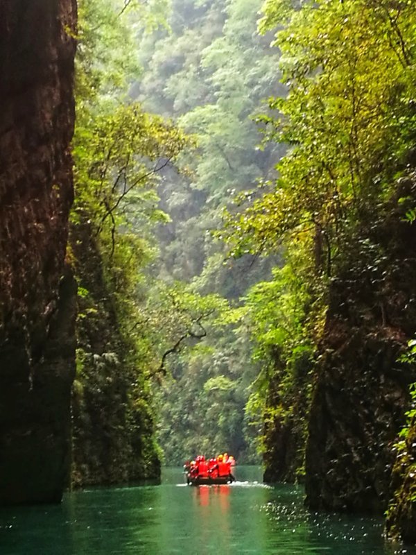 微信图片_2019050513592659