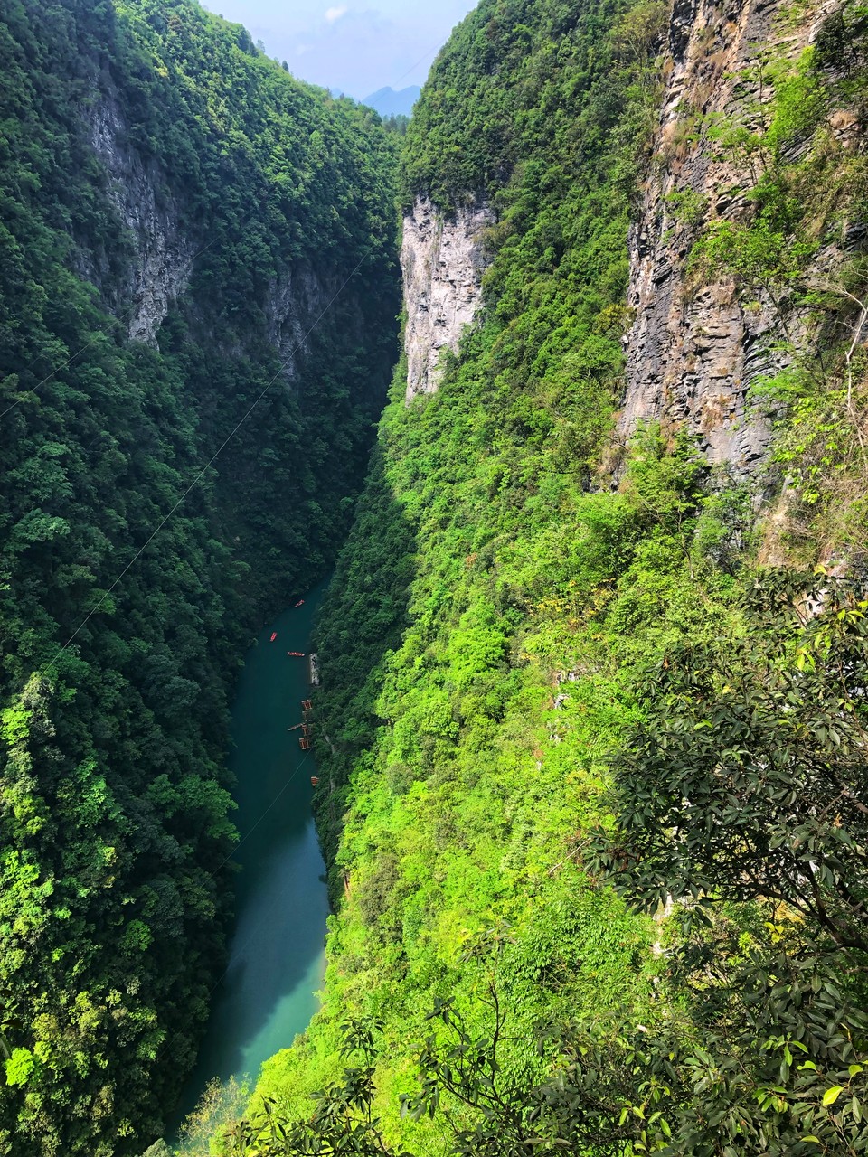 微信图片_2019050514014812