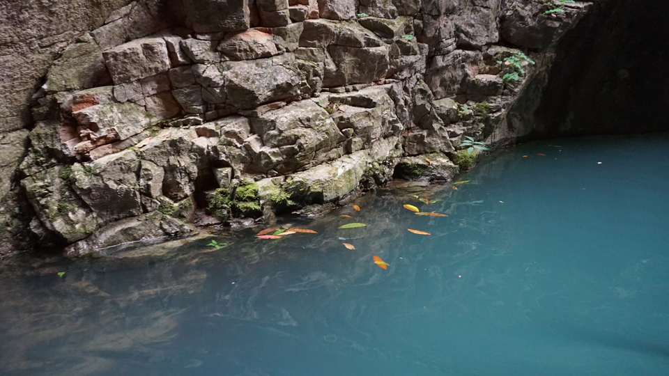 微信图片_2019050514014813