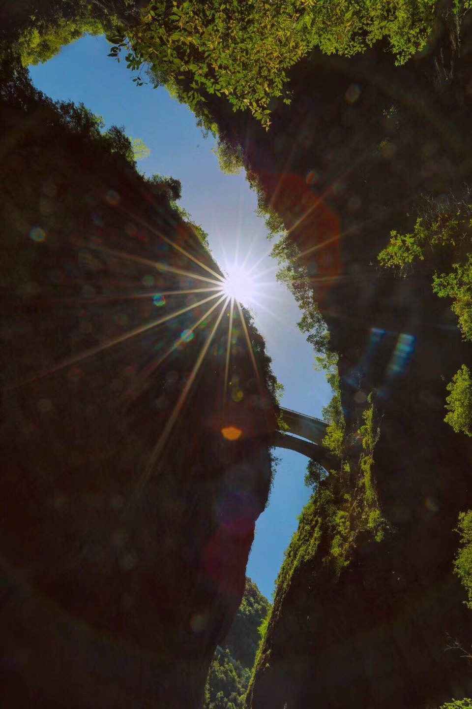 微信图片_2019050514014827