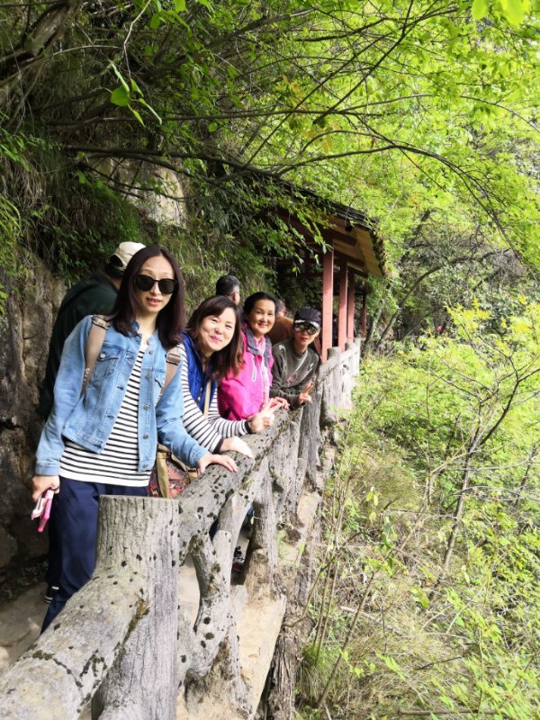 微信图片_2019050514014840