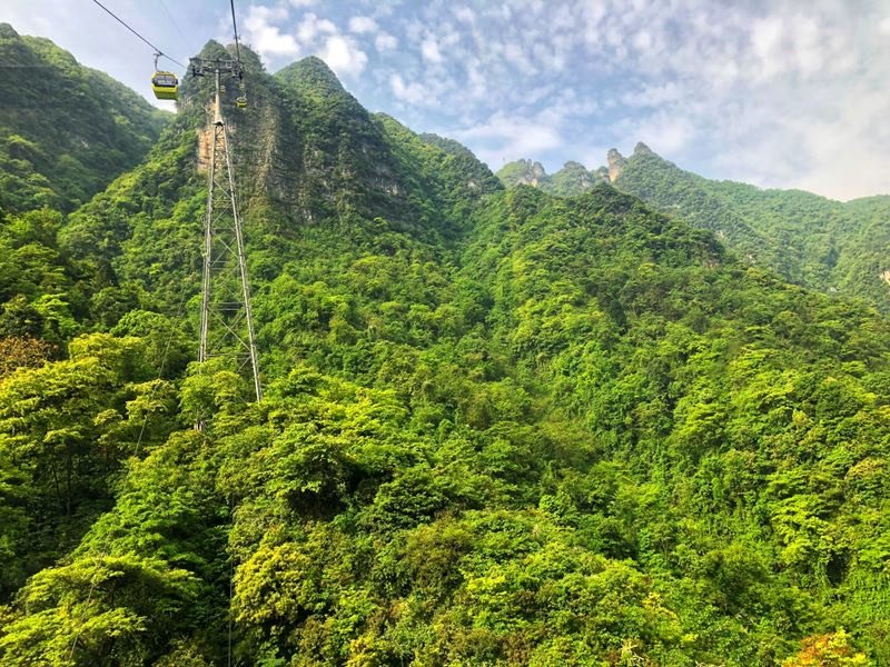 微信图片_2019050514014842