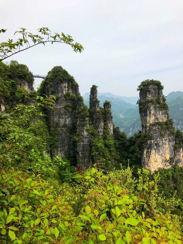 微信图片_2019050514014843