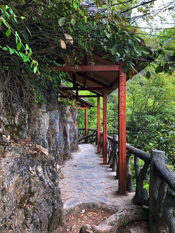 微信图片_2019050514014844