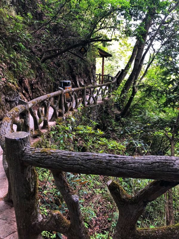 微信图片_2019050514014845