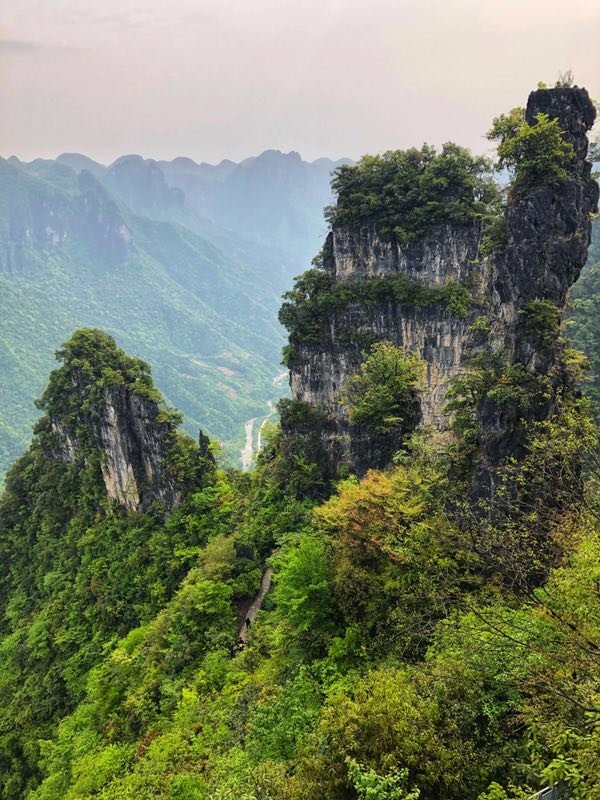 微信图片_2019050514014846