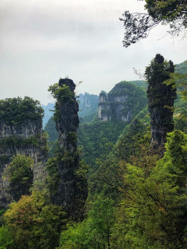 微信图片_2019050514014847