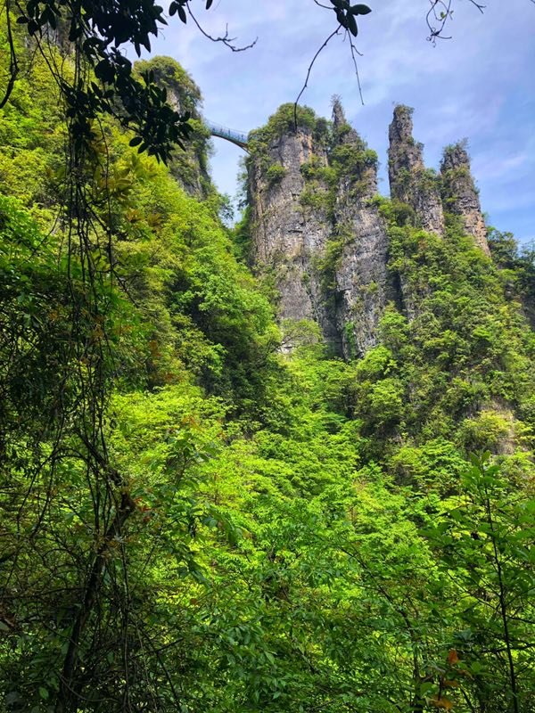 微信图片_2019050514014848