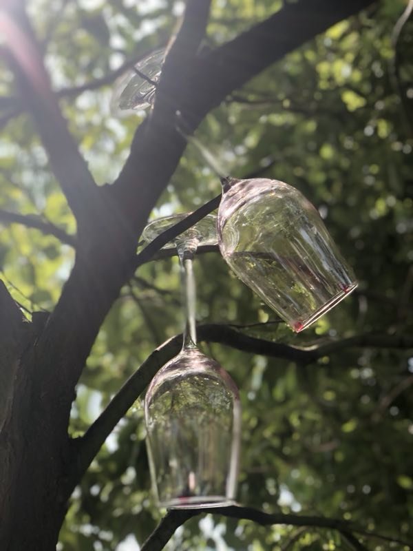 微信图片_201905051524052