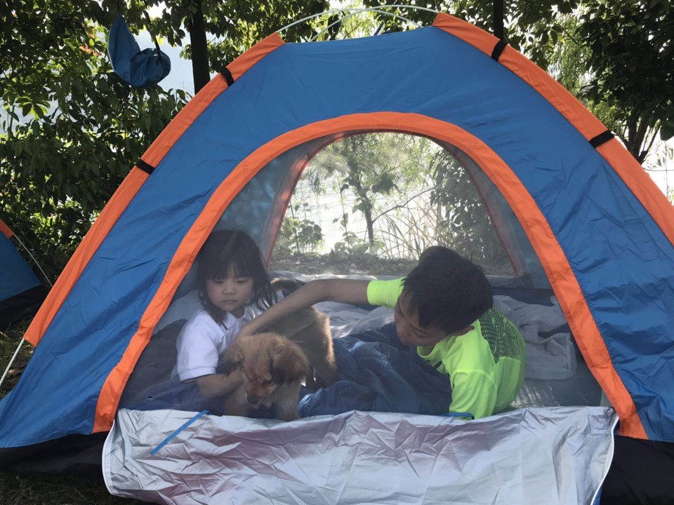 微信图片_201905051524062