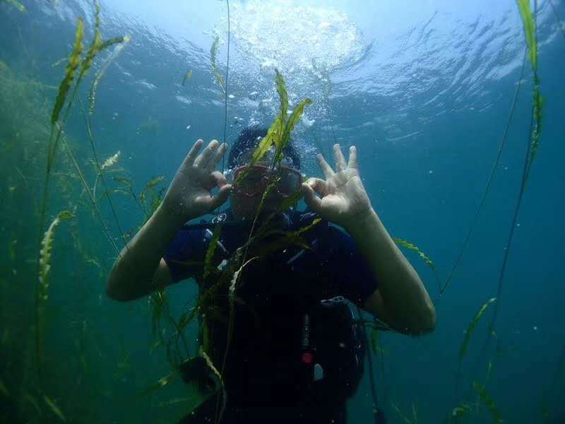 微信图片_201905051524069