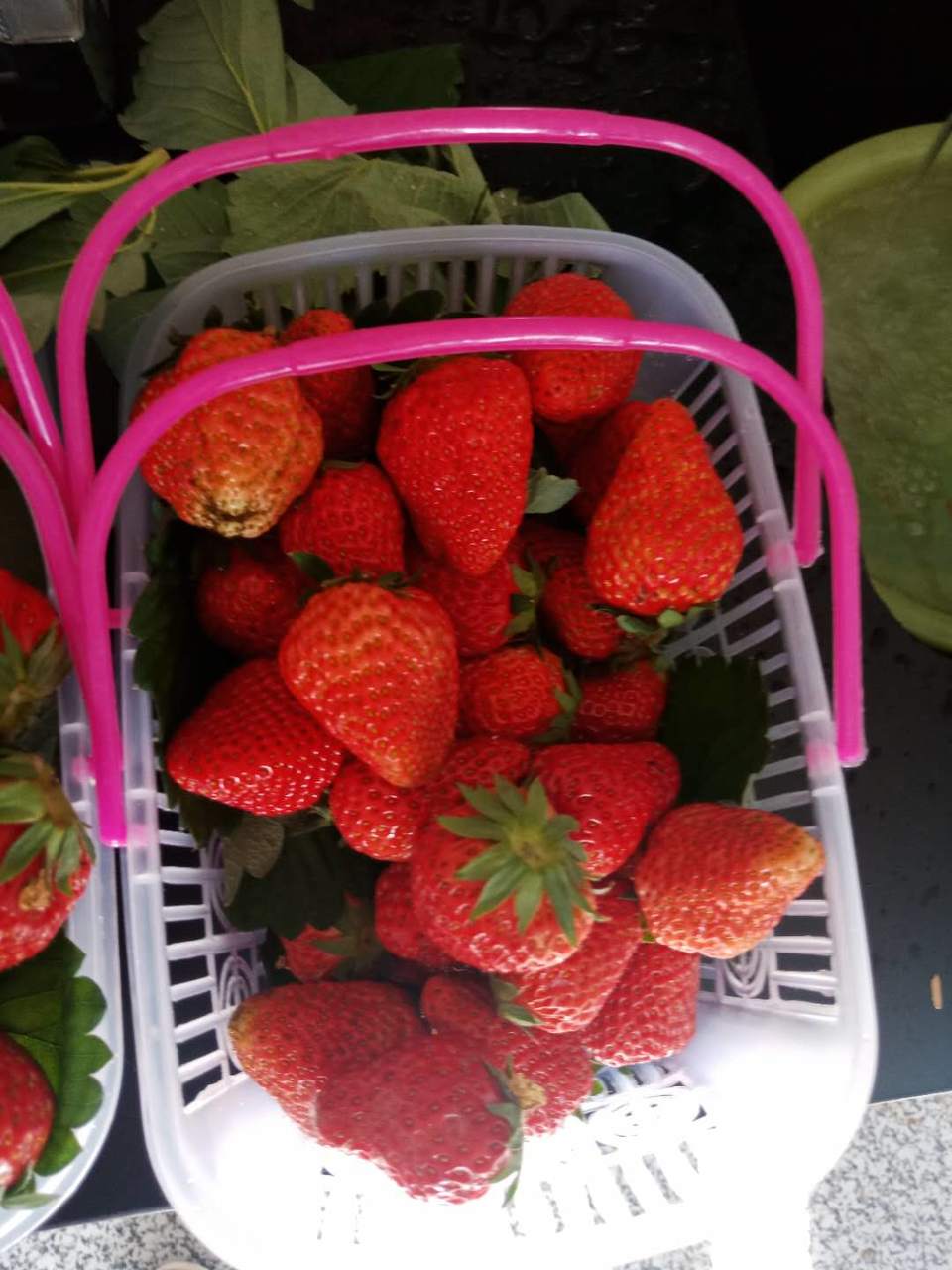 微信图片_2019050515223210