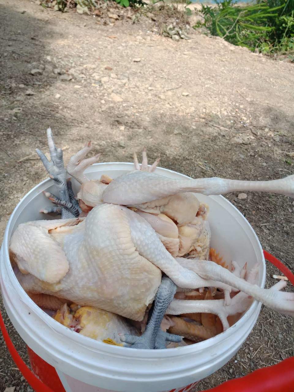 微信图片_2019050515223212