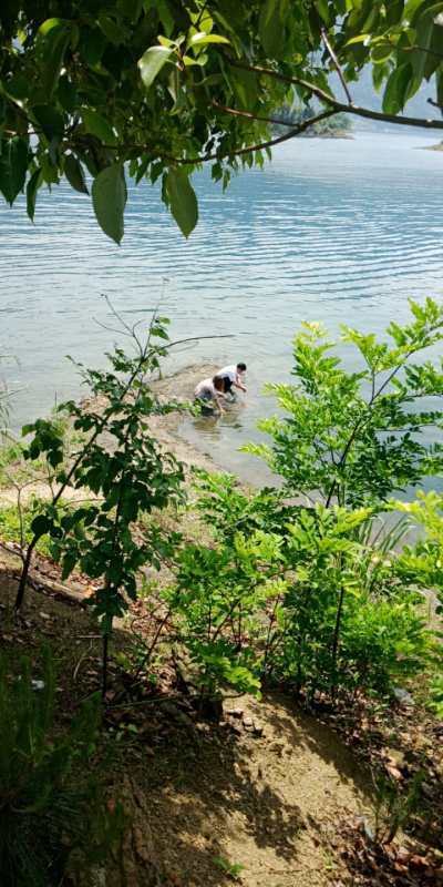 微信图片_2019050515223219