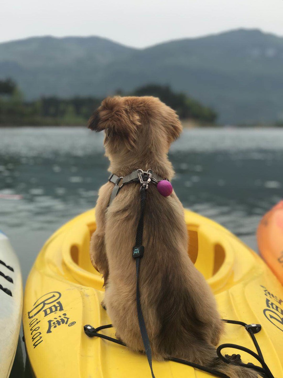 微信图片_2019050515223225