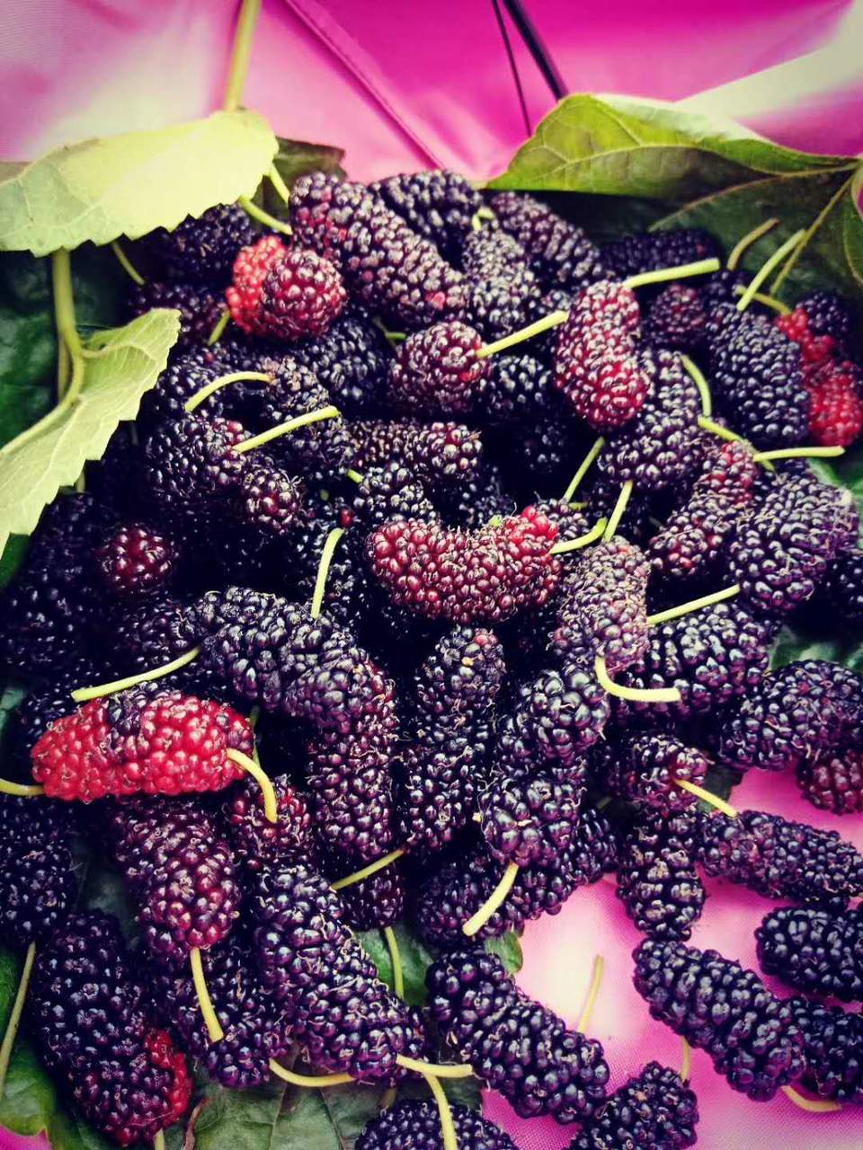 微信图片_2019050515240611