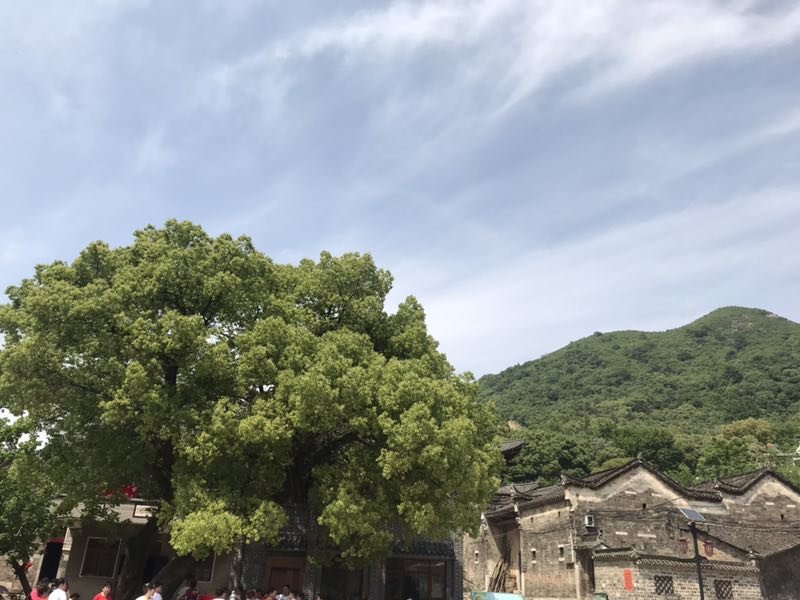 微信图片_2019050515240636