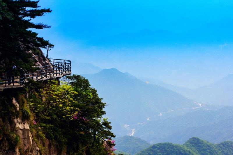 微信图片_201905051553441