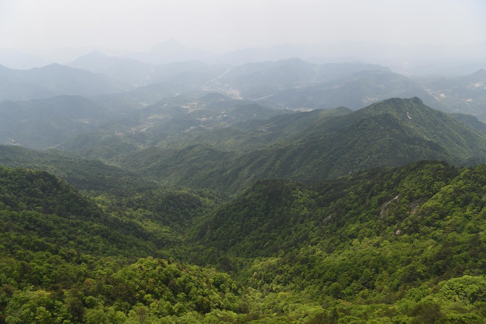 微信图片_201905051553444