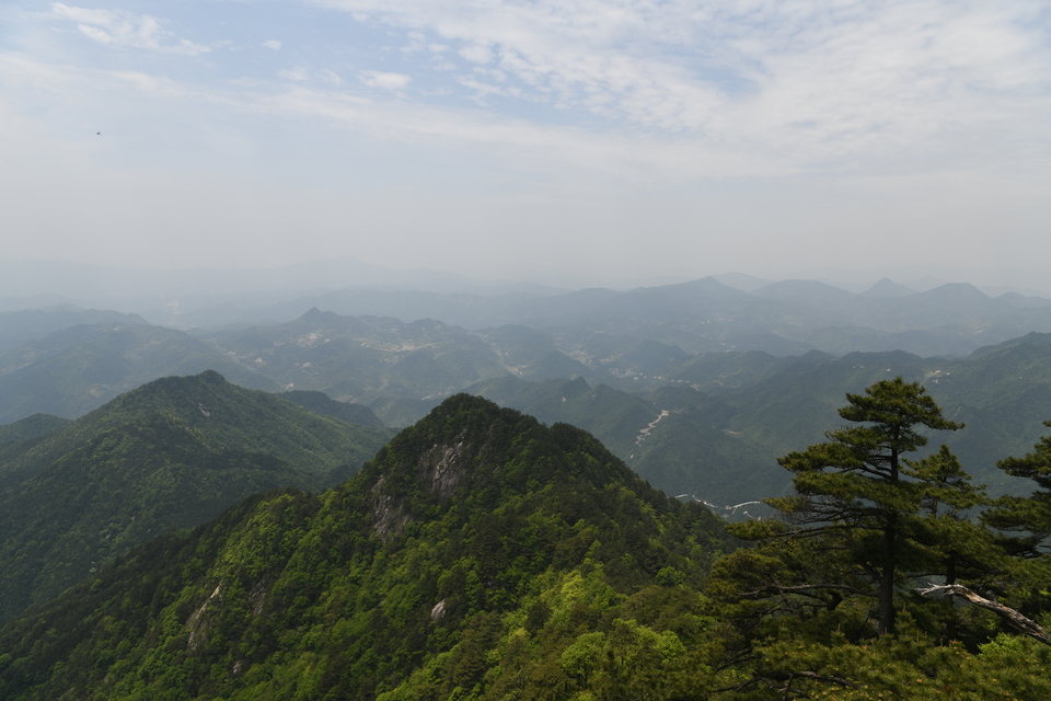 微信图片_201905051553445