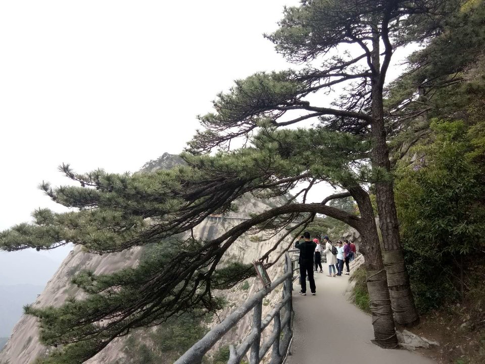 微信图片_201905051553452