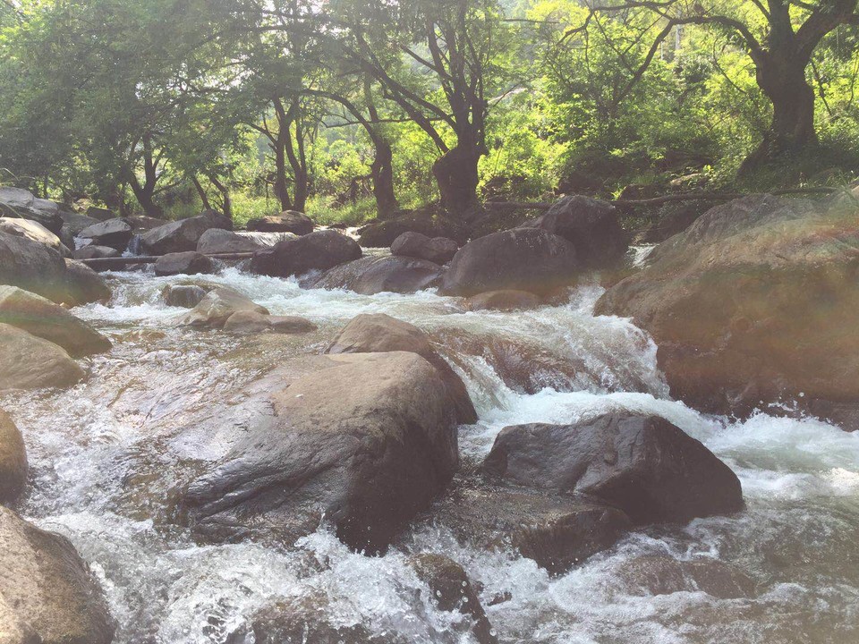 微信图片_2019050515534523