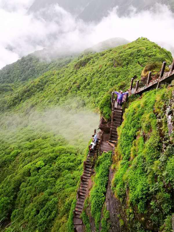 微信图片_20190610122306