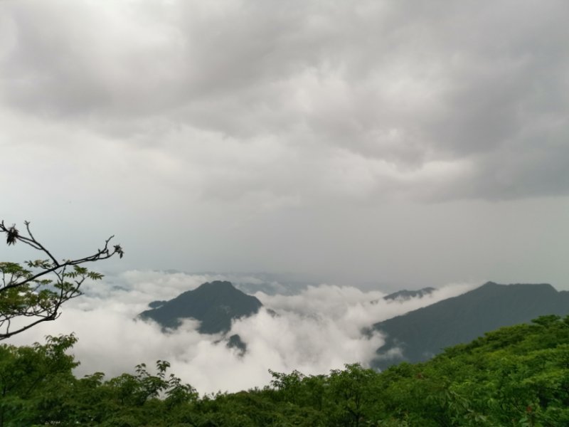 微信图片_201906101207473