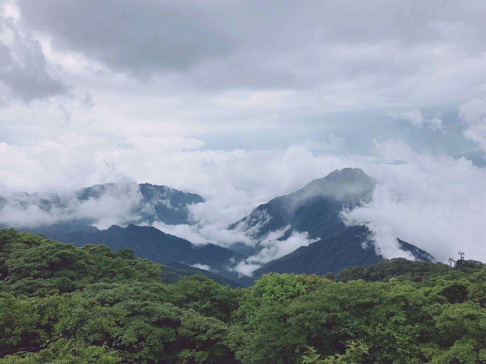 微信图片_201906101207474