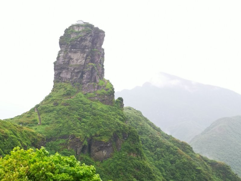 微信图片_201906101207475