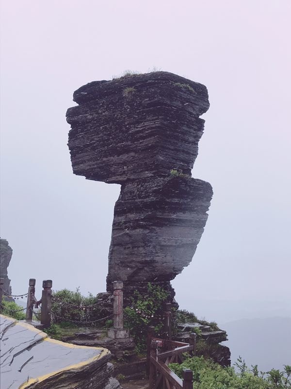 微信图片_201906101207476