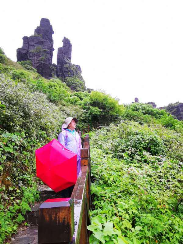 微信图片_201906101207477