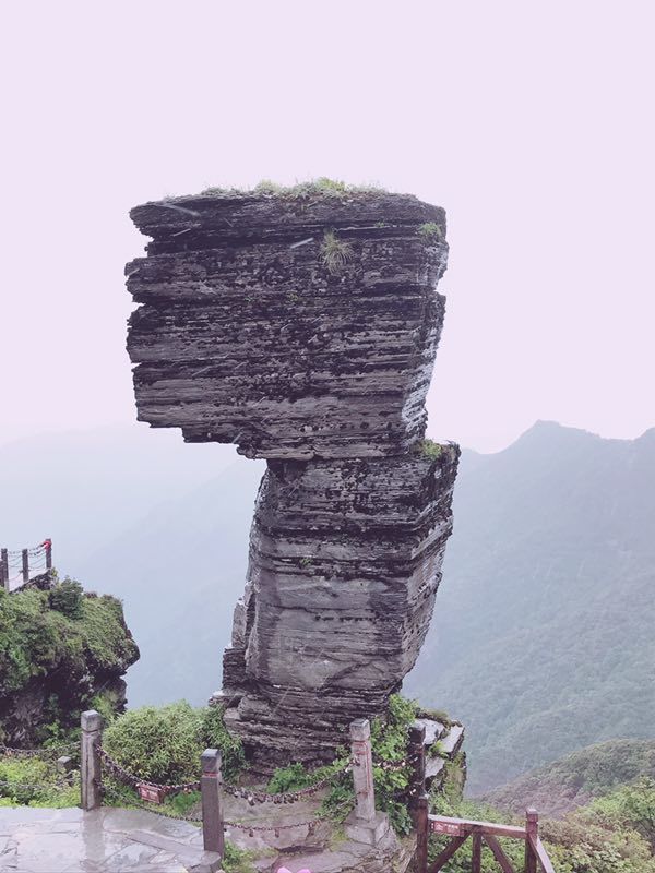 微信图片_201906101208531