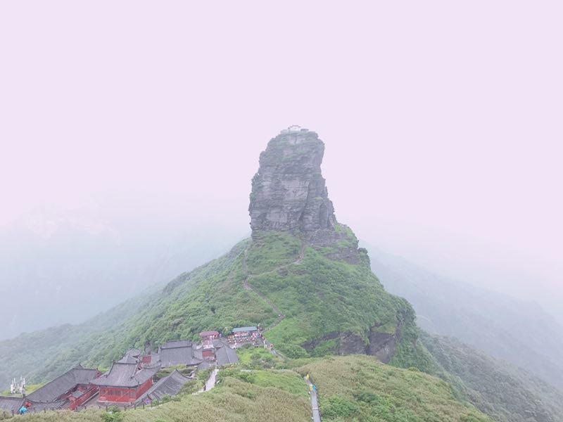 微信图片_201906101208532