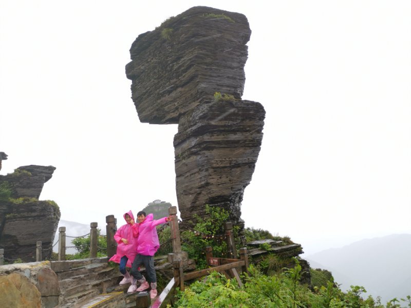 微信图片_201906101208533