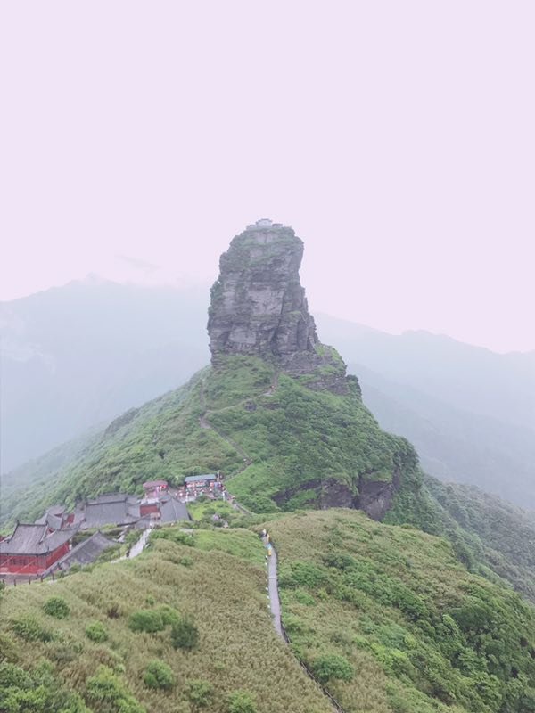 微信图片_201906101208534