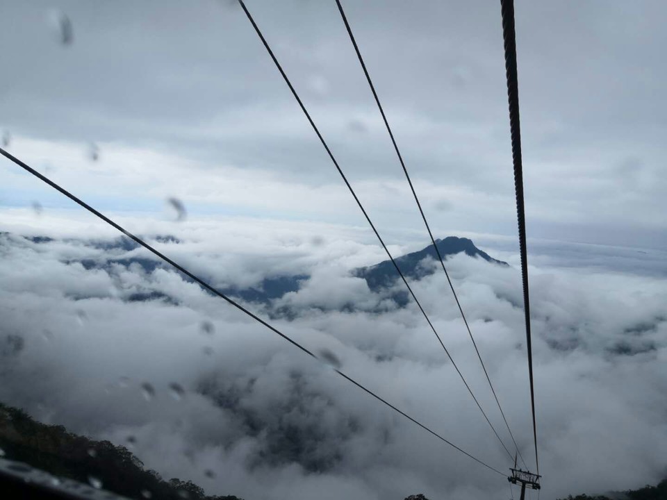 微信图片_201906101212595