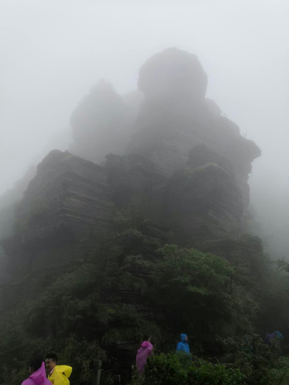 微信图片_201906101212596