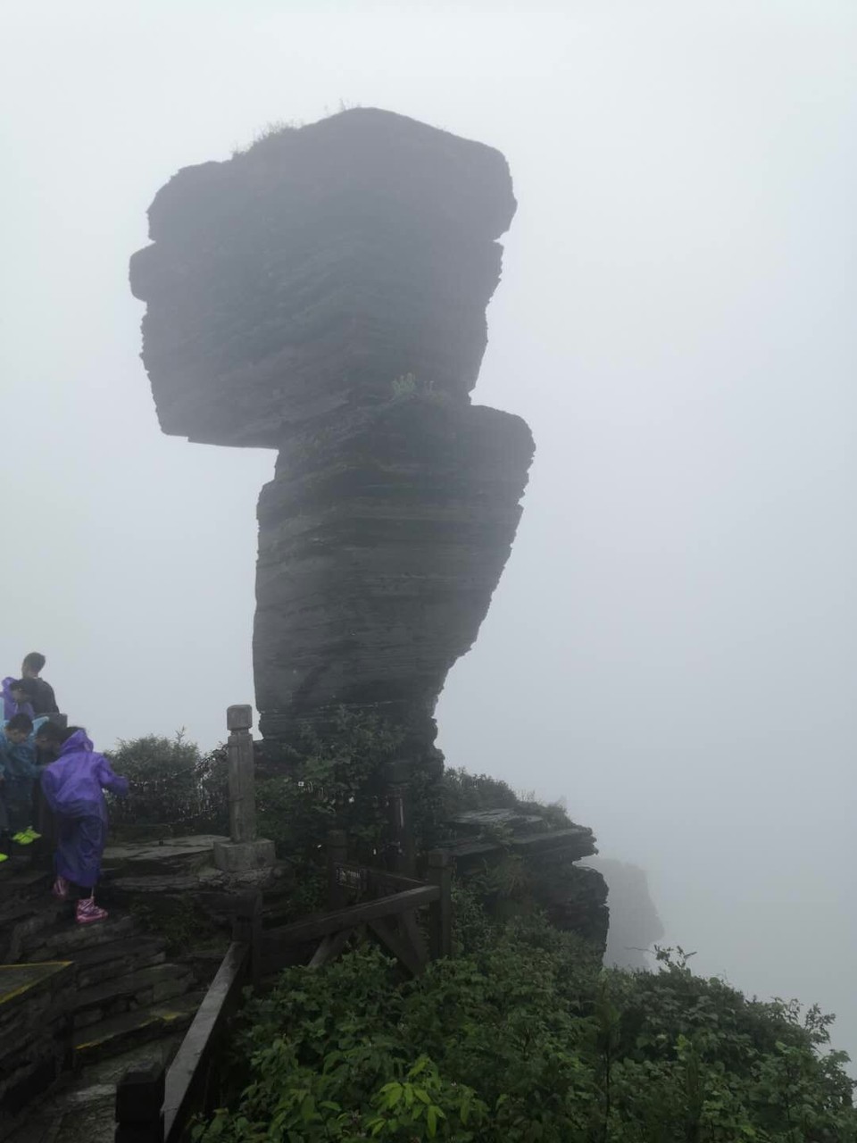 微信图片_201906101212597