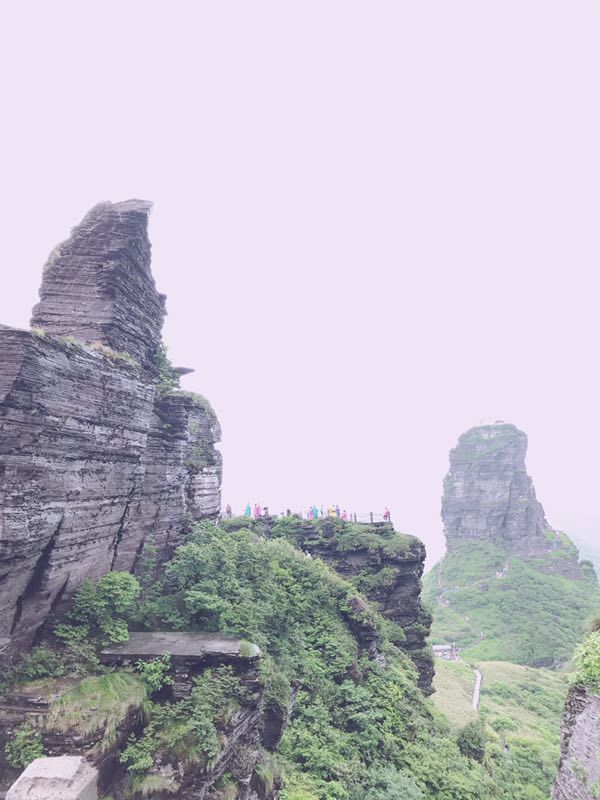 微信图片_201906101215471