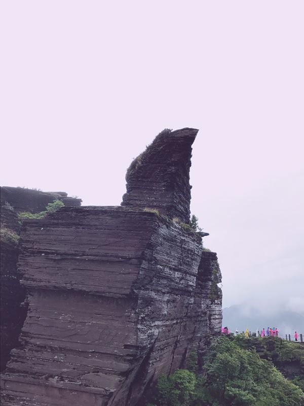 微信图片_201906101215472