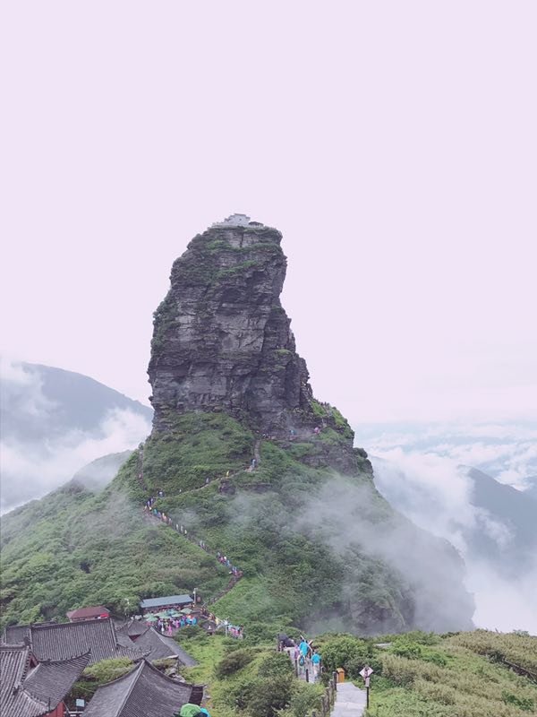 微信图片_201906101215473