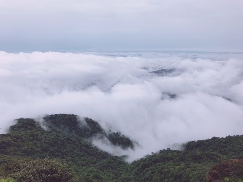 微信图片_201906101215477