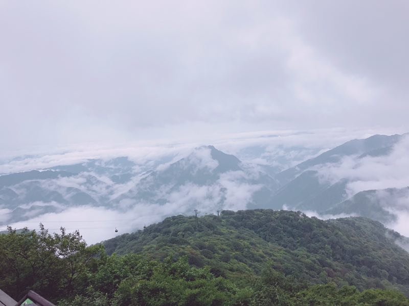 微信图片_201906101218321