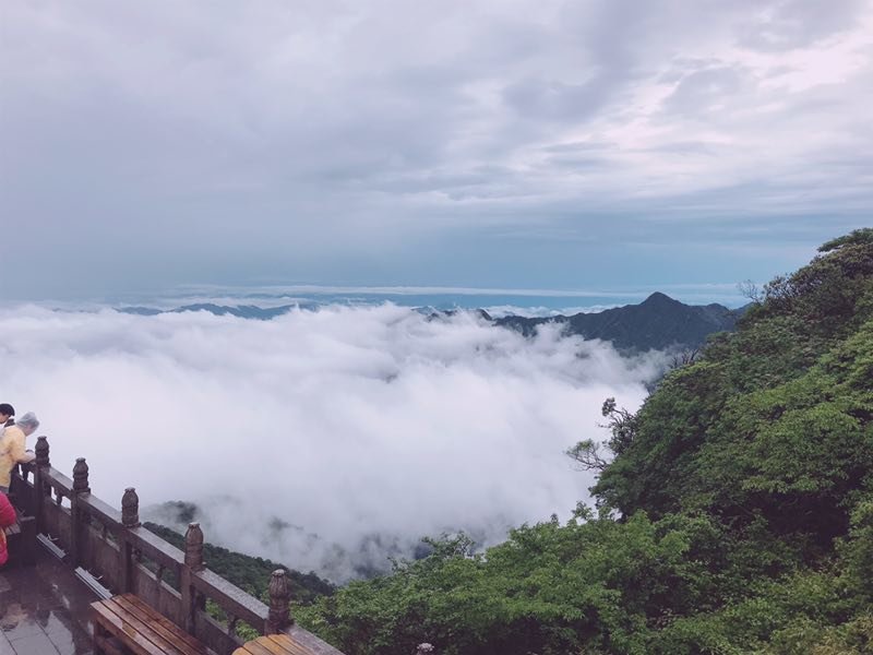 微信图片_201906101218323