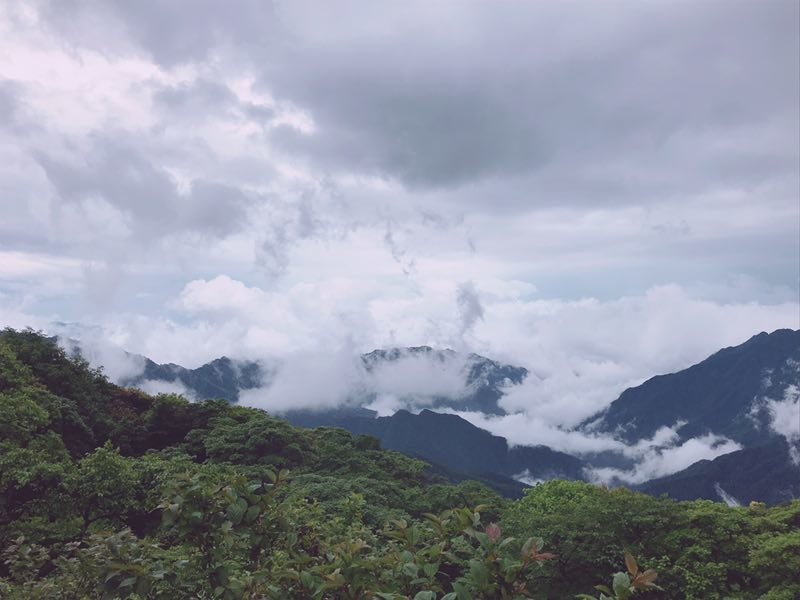 微信图片_201906101218324