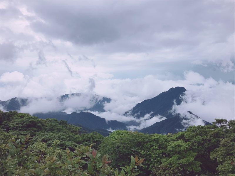 微信图片_201906101218326