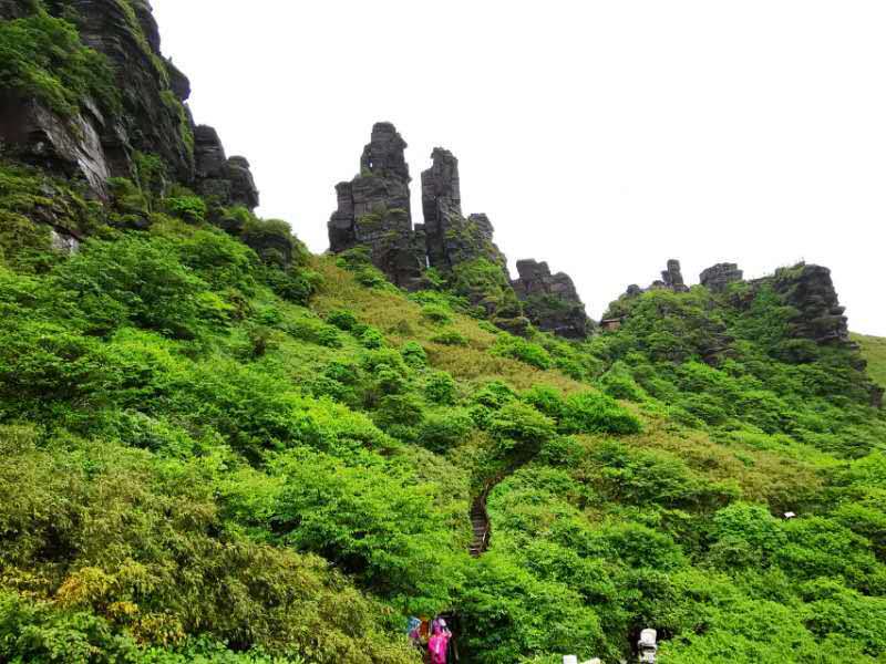 微信图片_201906101219441