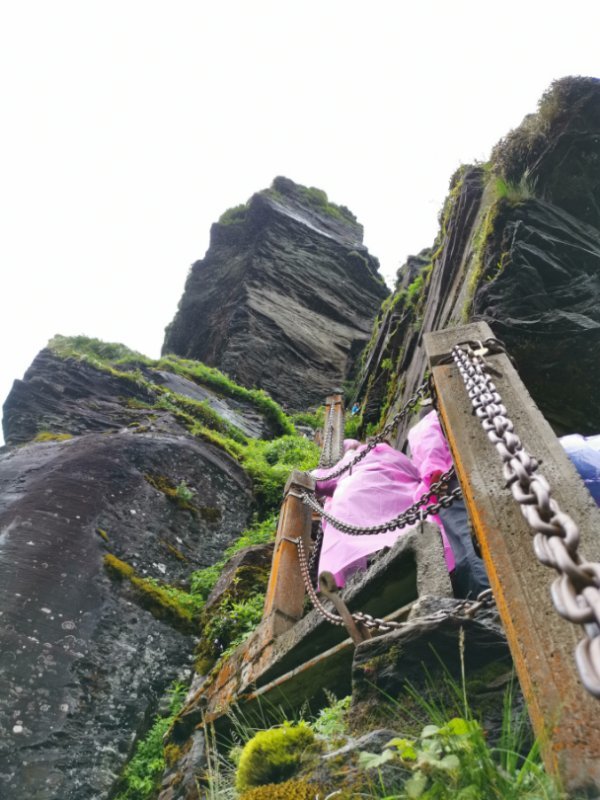 微信图片_201906101219444