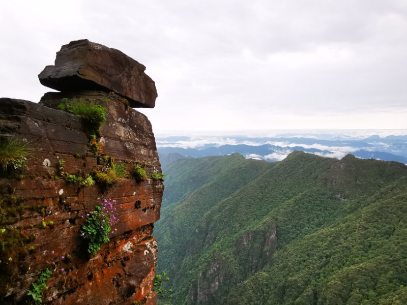 微信图片_201906101219445